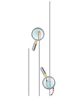 STONFO NEEDLE STAINLESS STEEL 30cm 455 5pcs