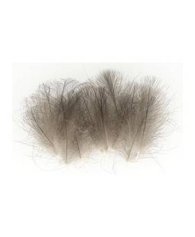 BAETIS CDC NATURAL DARK GREY 1g