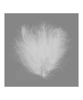 BAETIS CDC 1g #NATURAL WHITE