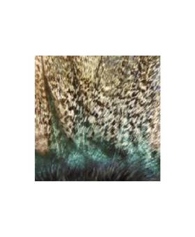 BAETIS COCK FEATHERS G-1 #PARDO CRUDO