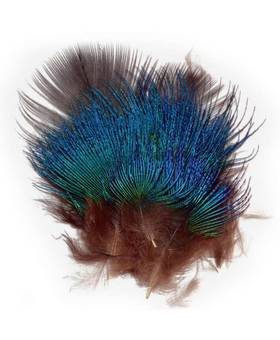 BAETIS PAVO REAL FEATHERS