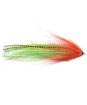 VISION PIKE STREAMER PARROT