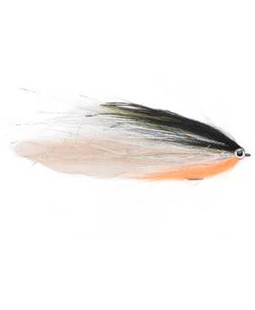 VISION PIKE STREAMER ROACH