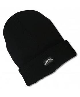 CARP R US BASIC CAP WINTER