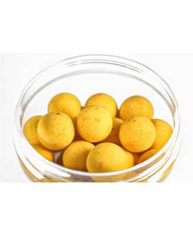 FORGOTTEN FLAVOURS POP UP CASSIEN CLASSICS 15mm