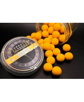 FORGOTTEN FLAVOURS POP UP SCOPEX 15MM