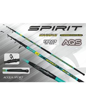 AQS SPIRIT SURFCASTING 4.2m 180g