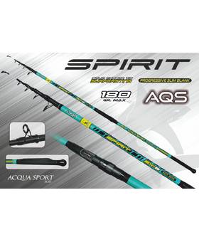 AQS SPIRIT SURFCASTING 4.2m 180g