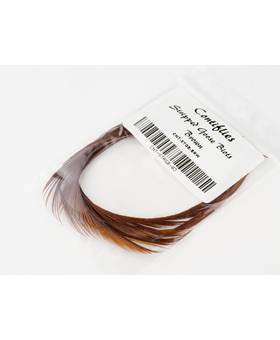 CONTIFILES GOOSE BIOTS BROWN