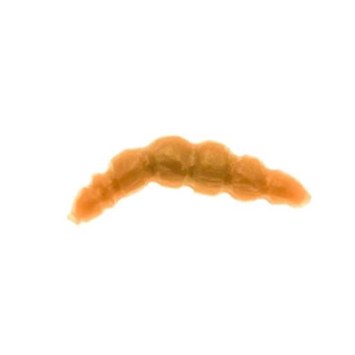 LABORATORIO BIOILLOGICA LARVA 4.5cm