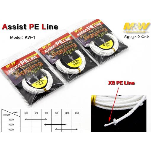 JLC PE ASSIST LINE 200LB