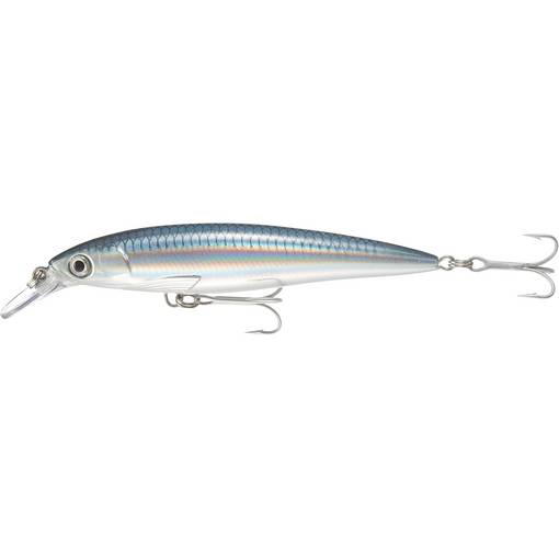 RAPALA X-RAP SALTWATER SXR 10CM #BAITFISH