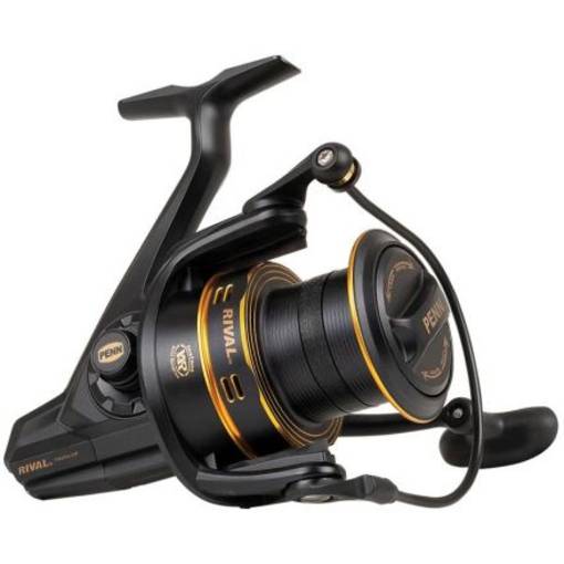 PENN RIVAL 8000LC GOLD