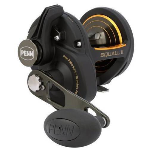 PENN SQUALL II 25NLD