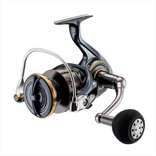 DAIWA CALDIA SW