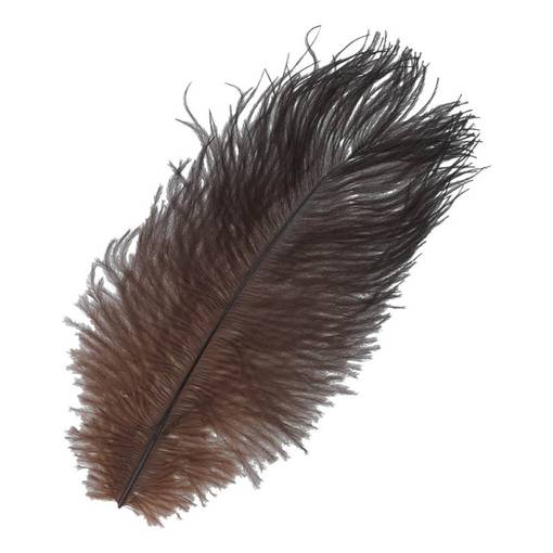 BAETIS OSTRICH MINI PLUMES BROWN