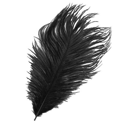 BAETIS OSTRICH MINI PLUMES BLACK