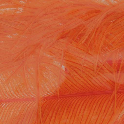 BAETIS OSTRICH HERL #ORANGE