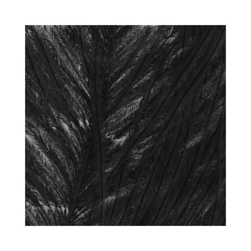 BAETIS OSTRICH HERL #NATURAL GREY