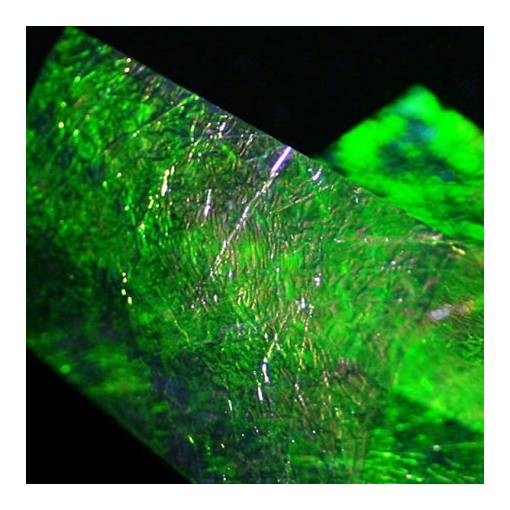 KNAPEK FINE FLASH BACK GREEN