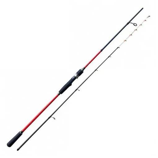 CASTED TATAKI IKA SQUID 2.02M 50-150G