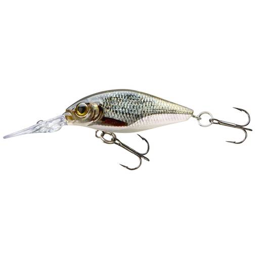 CORMORAN BELLY DIVER MINI F. 3.8cm 3g ROACH