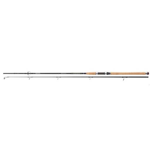 DAIWA TD TAIMEN 902HFS 2.7M 30-125g