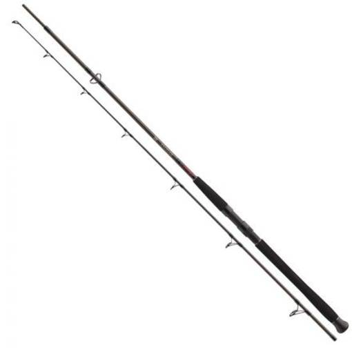 DAIWA EXCELER CAT FISH 2.4m -135g