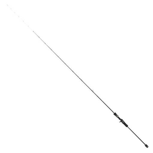 TAILWALK METALZON boat squid SSD C66M/SL 20-100g PE0.8