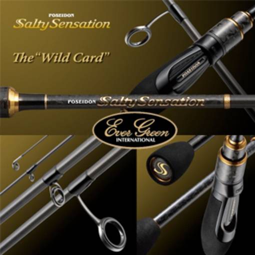 EVERGREEN POSEIDON SALTY SENSATION THE WILD CARD 76T 0.2-10g PE 0.2-0.6