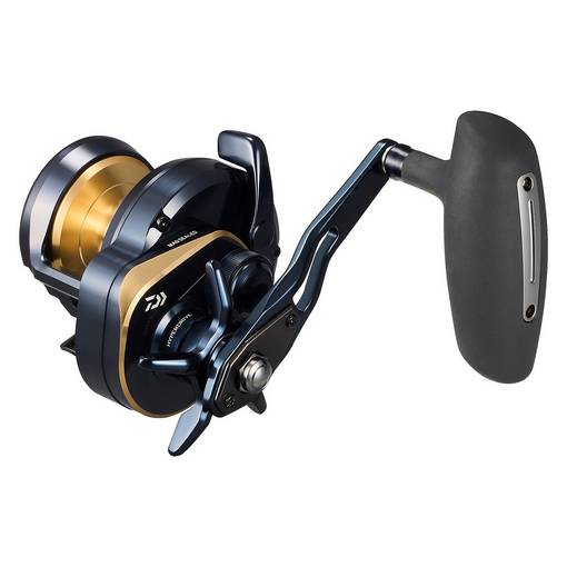 DAIWA 25 SALTIGA 10HL