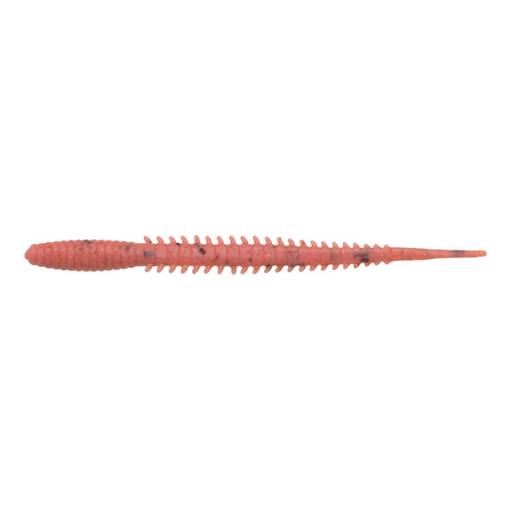 ECOGEAR AQUA aji straight 8.13cm fish frenzy taste