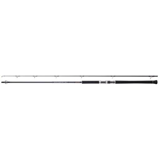 ARES BLUE PORTER SHORE JIGGING 9.6 2.89M JIG MAX 80G, PE MAX4
