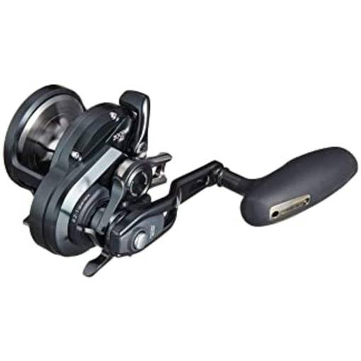 SHIMANO OCEA JIGGER F CUSTOM 2001NR LH