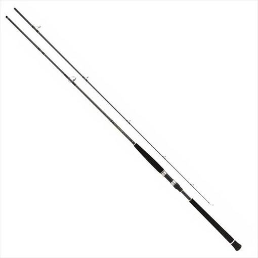 PROMARINE SHORE JIG ROUNDER 100M max 80g