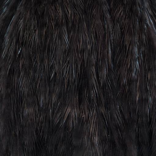 EWING HEN CAPE HACKLE #BLACK