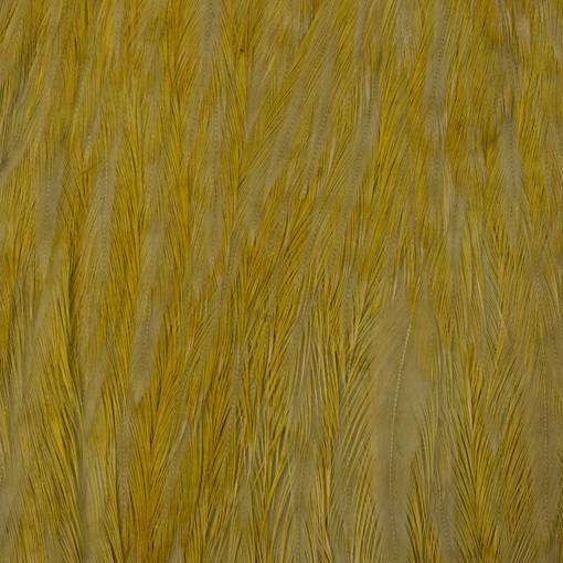 54 DEANS STREET EWING HACKLE HEN CAPE #MEDIUM OLIVE