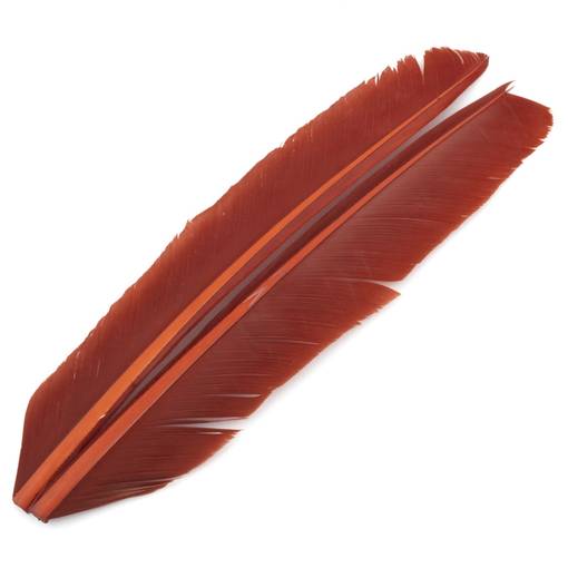54 DS TURKEY BIOT QUILL #RUSTY SPINNER RED