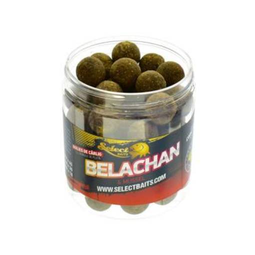 SELECT BAITS HOOKBAITS CRITIC BELACHAN