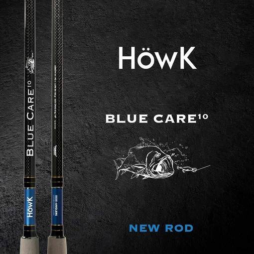HOWK BLUE CARE 3mt SHORE JIGGING ROD 80-120g PE4