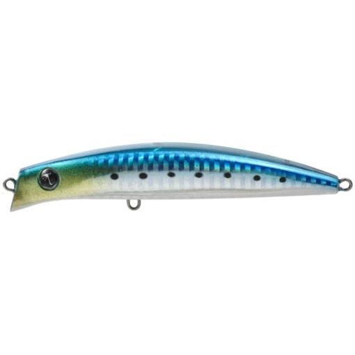 Coixedda seaspin