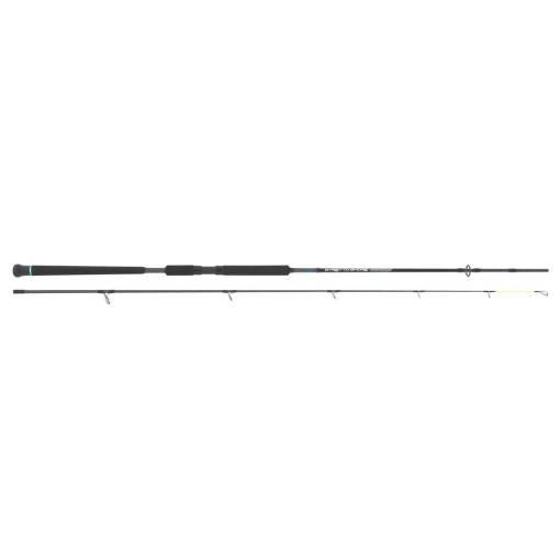 SEIKA STRETTO SHORE JIG 2.7M MAX 80G