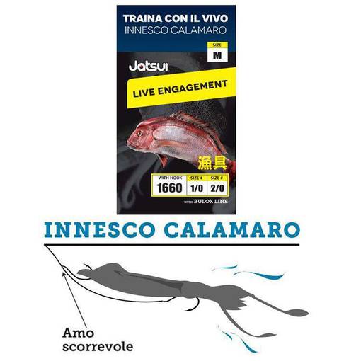 JATSUI LIVE BAIT RIG SQUID