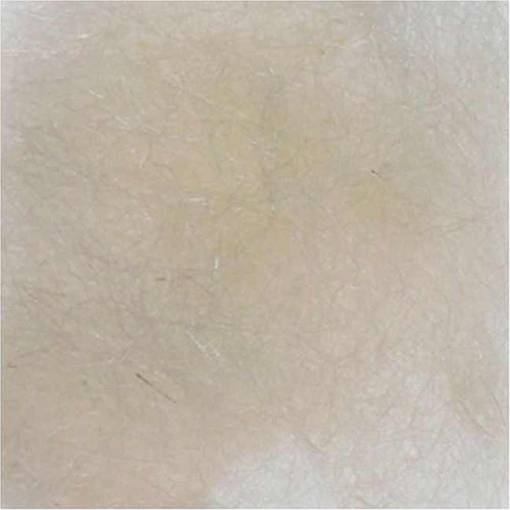 BAETIS DUBBING SEAL FUR Cream