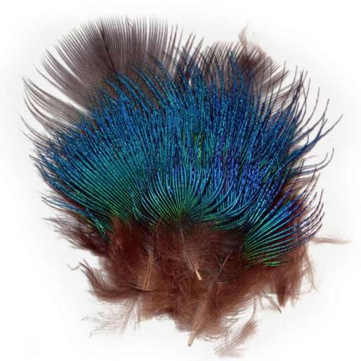 BAETIS PAVO REAL FEATHERS