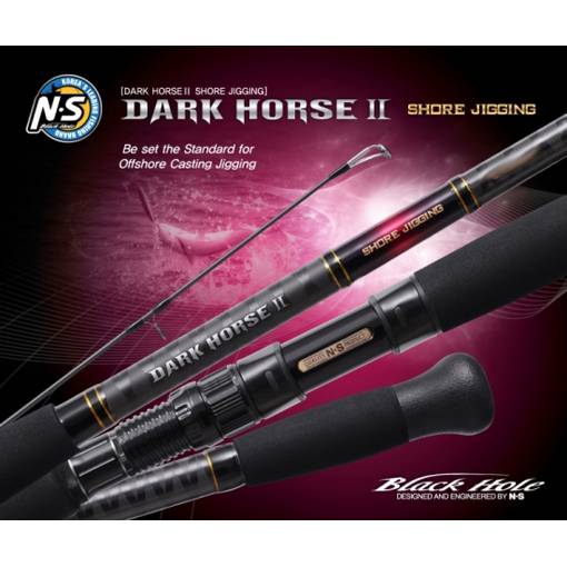 BLACK HOLE DARK HORSE II SHORE JIGGING S-962MH 2.9m max.100g PE4