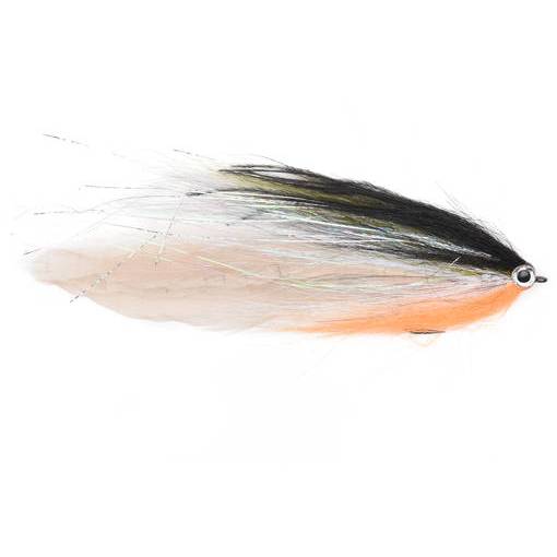 VISION PIKE STREAMER ROACH