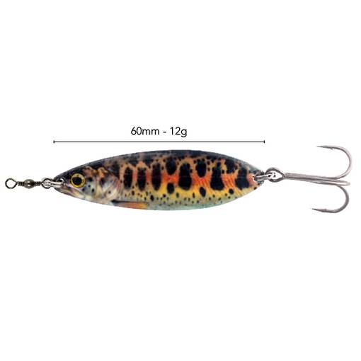 BLACK MAGIC ENTICER BROOKIE