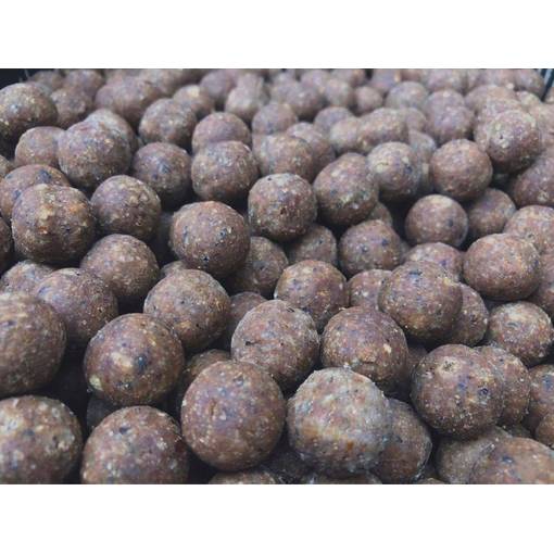 ARCTIC BAITS BOILIES SQUID 1KG