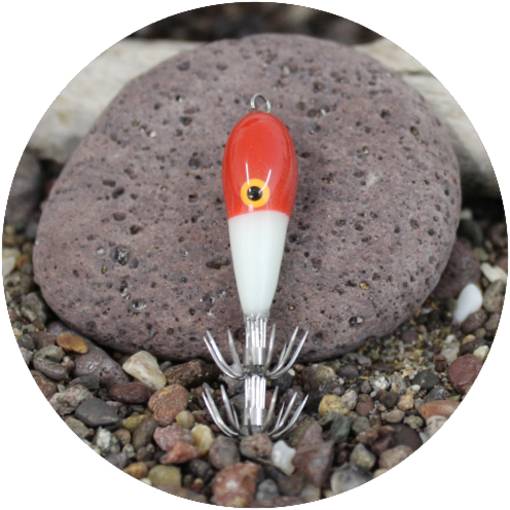 MATAKI BICOLOR